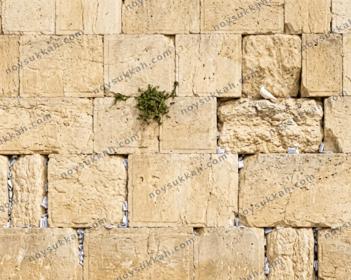 כותל — full-wall sukkah mural